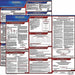 LaborLaw Poster Fed/STA MI ENG 20inH 1yr
