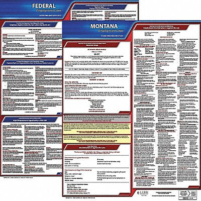 LaborLaw Poster Fed/STA MT ENG 20inH 1yr