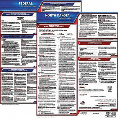 Labor Law Poster Kit ND English 19 in W