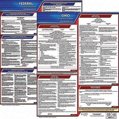 Labor Law Poster Kit OH English 19 in W