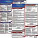 LaborLaw Poster Fed/STA OK ENG 20inH 3yr