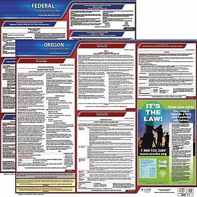 LaborLaw Poster Fed/STA OR ENG 20inH 1yr