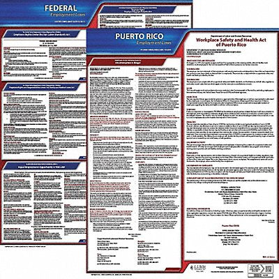 LaborLaw Poster Fed/STA PR ENG 20inH 1yr