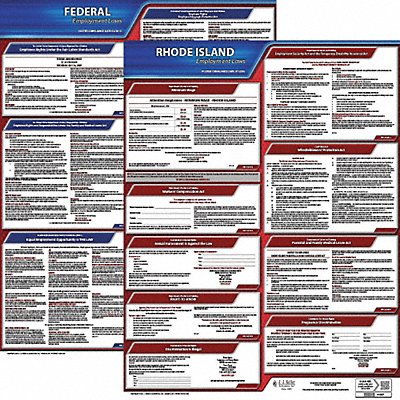 Labor Law Poster Kit RI English 19 in W