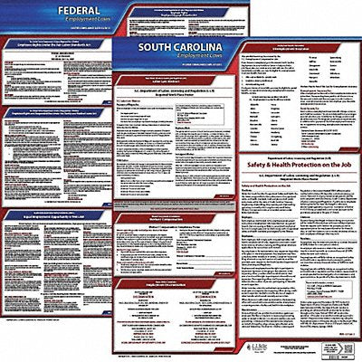 LaborLaw Poster Fed/STA SC ENG 20inH 3yr