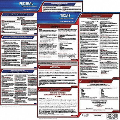 LaborLaw Poster STA TX ENG 26Wx20inH 1yr