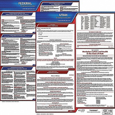 Labor Law Poster Kit UT English 19 in W