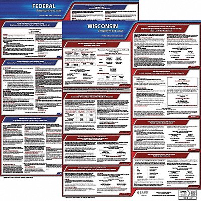 LaborLaw Poster Fed/STA WI ENG 20inH 1yr
