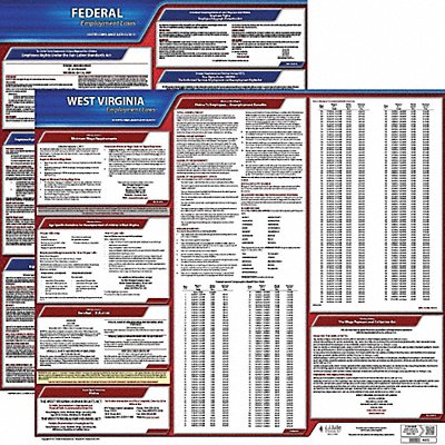 Labor Law Poster Kit WV English 19 in W