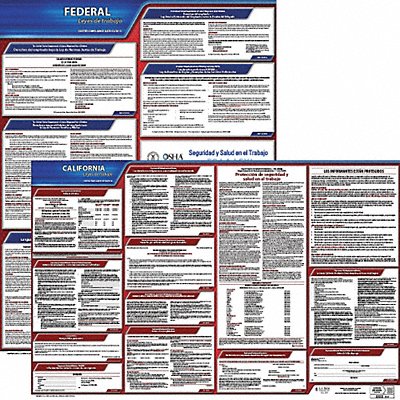 Labor Law Poster Fed/STA CA SP 20inH 3yr