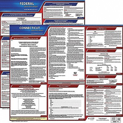 Labor Law Poster Fed/STA CT SP 20inH 3yr