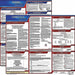Labor Law Poster Fed/STA CT SP 20inH 3yr