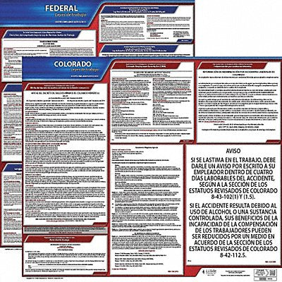 Labor Law Poster Fed/STA CO SP 20inH 3yr