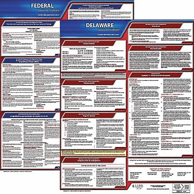 Labor Law Poster Fed/STA DE SP 20inH 3yr