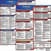 Labor Law Poster Fed/STA DE SP 20inH 3yr