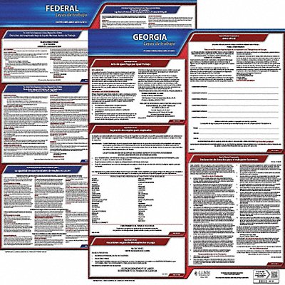 Labor Law Poster Fed/STA GA SP 20inH 1yr