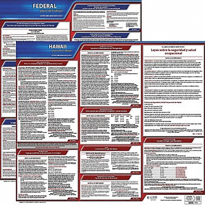 Labor Law Poster Fed/STA HI SP 20inH 1yr