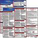 Labor Law Poster Fed/STA HI SP 20inH 1yr