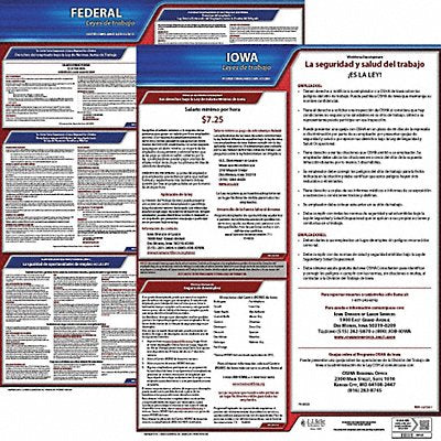 Labor Law Poster Fed/STA IA SP 20inH 3yr