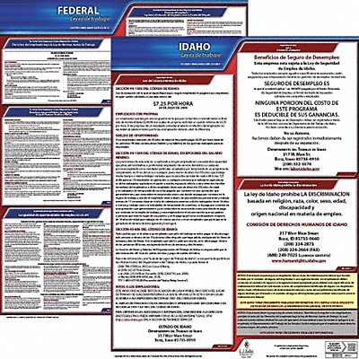 Labor Law Poster Fed/STA ID SP 20inH 1yr