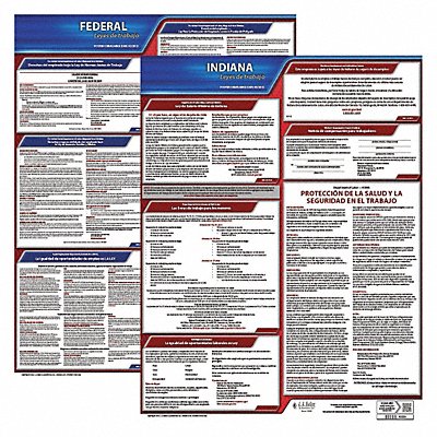 Labor Law Poster Fed/STA IN SP 20inH 3yr