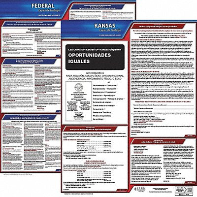 Labor Law Poster Fed/STA KS SP 20inH 1yr