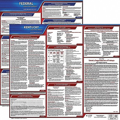 Labor Law Poster Fed/STA KY SP 20inH 1yr