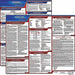 Labor Law Poster Fed/STA KY SP 20inH 3yr