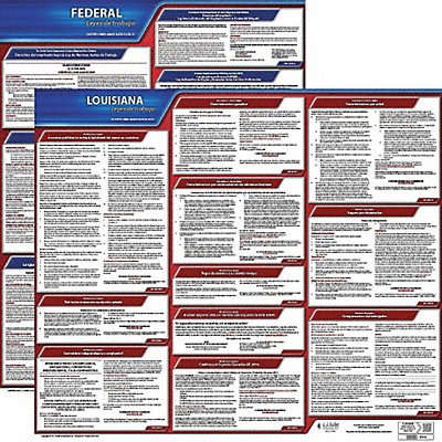 Labor Law Poster Fed/STA LA SP 20inH 3yr