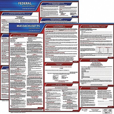 Labor Law Poster Fed/STA MA SP 20inH 3yr