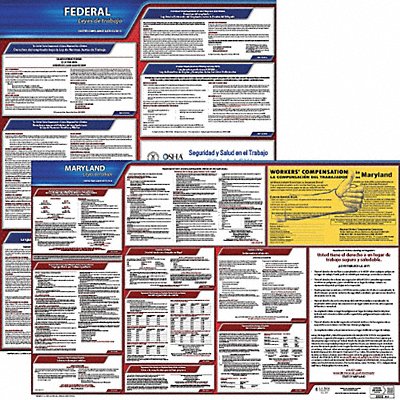 Labor Law Poster Fed/STA MD SP 20inH 1yr