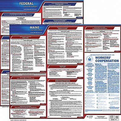 Labor Law Poster Fed/STA ME SP 20inH 3yr