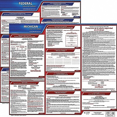 Labor Law Poster Fed/STA MI SP 20inH 1yr