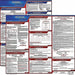 Labor Law Poster Fed/STA MI SP 20inH 1yr