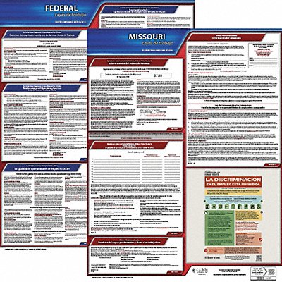Labor Law Poster Fed/STA MO SP 20inH 3yr