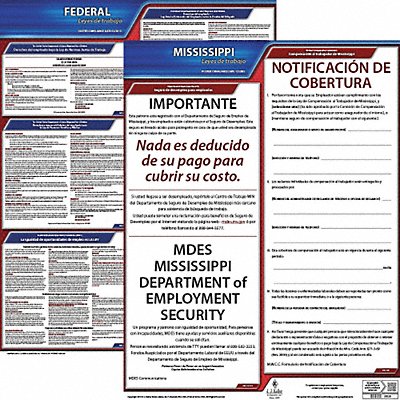 Labor Law Poster Kit MS Spanish 19 in W