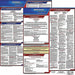 Labor Law Poster Fed/STA MT SP 20inH 3yr