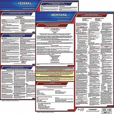 Labor Law Poster Fed/STA MT SP 20inH 1yr