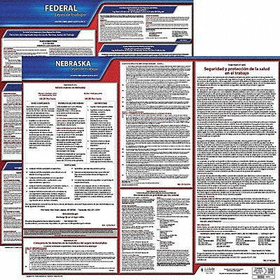 Labor Law Poster Fed/STA NE SP 20inH 3yr