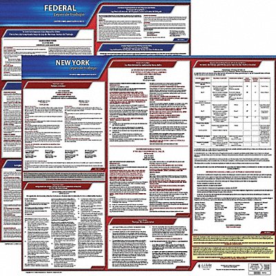 Labor Law Poster Fed/STA NY SP 20inH 1yr