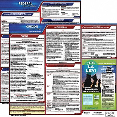 Labor Law Poster Fed/STA OR SP 20inH 3yr