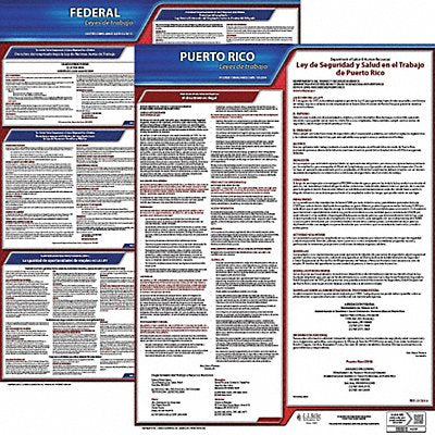 Labor Law Poster Fed/STA PR SP 20inH 3yr