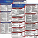 Labor Law Poster Fed/STA RI SP 20inH 3yr