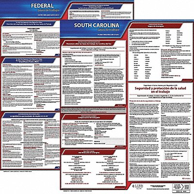 Labor Law Poster Kit SC Spanish 19 in W