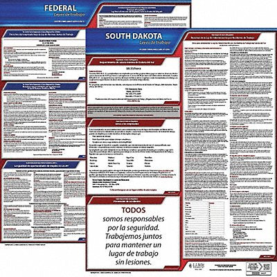 Labor Law Poster Kit SD Spanish 19 in W