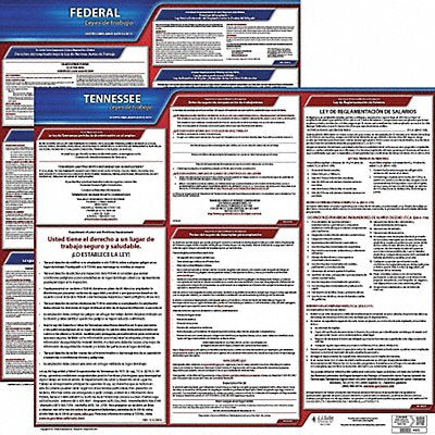 Labor Law Poster Fed/STA TN SP 20inH 3yr