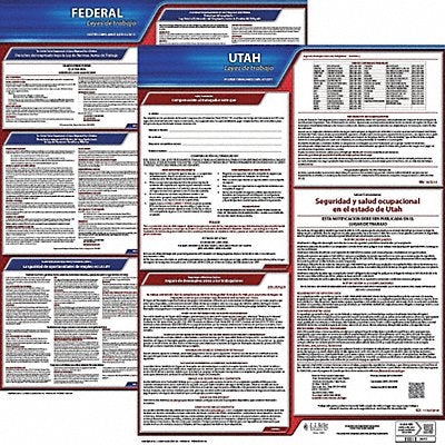 Labor Law Poster Kit UT Spanish 19 in W