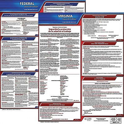 Labor Law Poster Fed/STA VA SP 20inH 1yr
