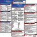 Labor Law Poster Fed/STA VA SP 20inH 1yr