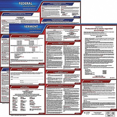 Labor Law Poster Fed/STA VT SP 20inH 3yr